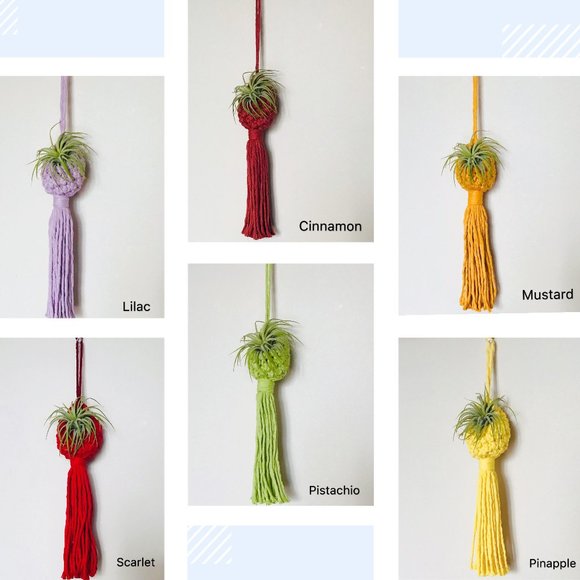 COPY - COPY 1- Handmade macrame air plant pod - Picture 5 of 5